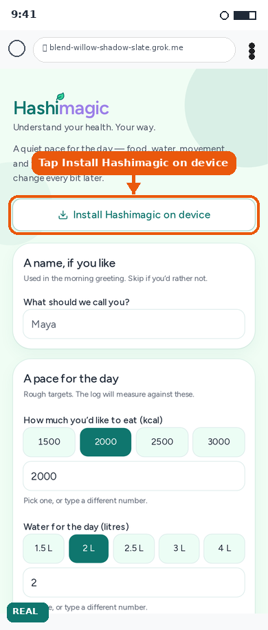 Hashimagic setup screen with Install Hashimagic on device highlighted