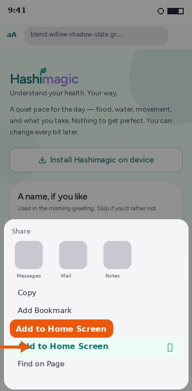 Safari Share sheet with Add to Home Screen highlighted