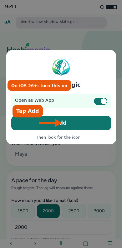 Add to Home Screen confirm screen with Open as Web App and Add highlighted